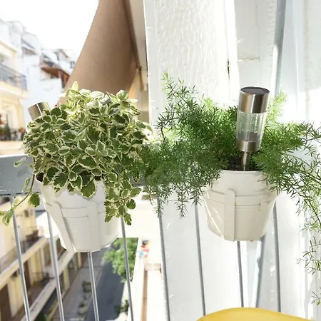Awesome Luxury Downtown Apartment *